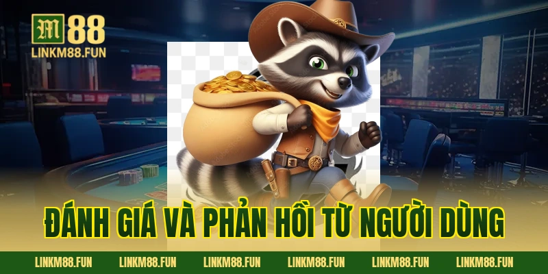 Đánh giá và phản hồi từ người dùng