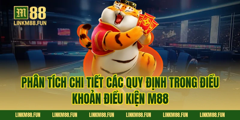 Phân tích chi tiết các quy định trong điều khoản điều kiện M88
